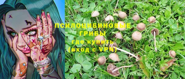 марки nbome Гусиноозёрск