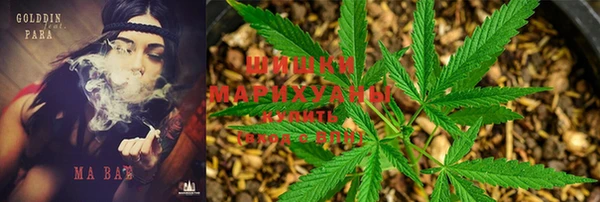 меф Гусь-Хрустальный