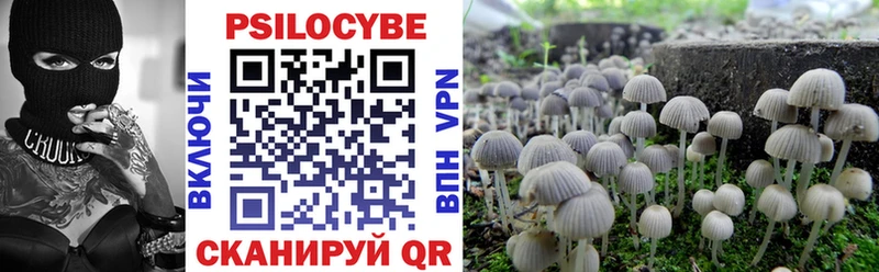 Псилоцибиновые грибы Psilocybe  мориарти формула  Меленки 
